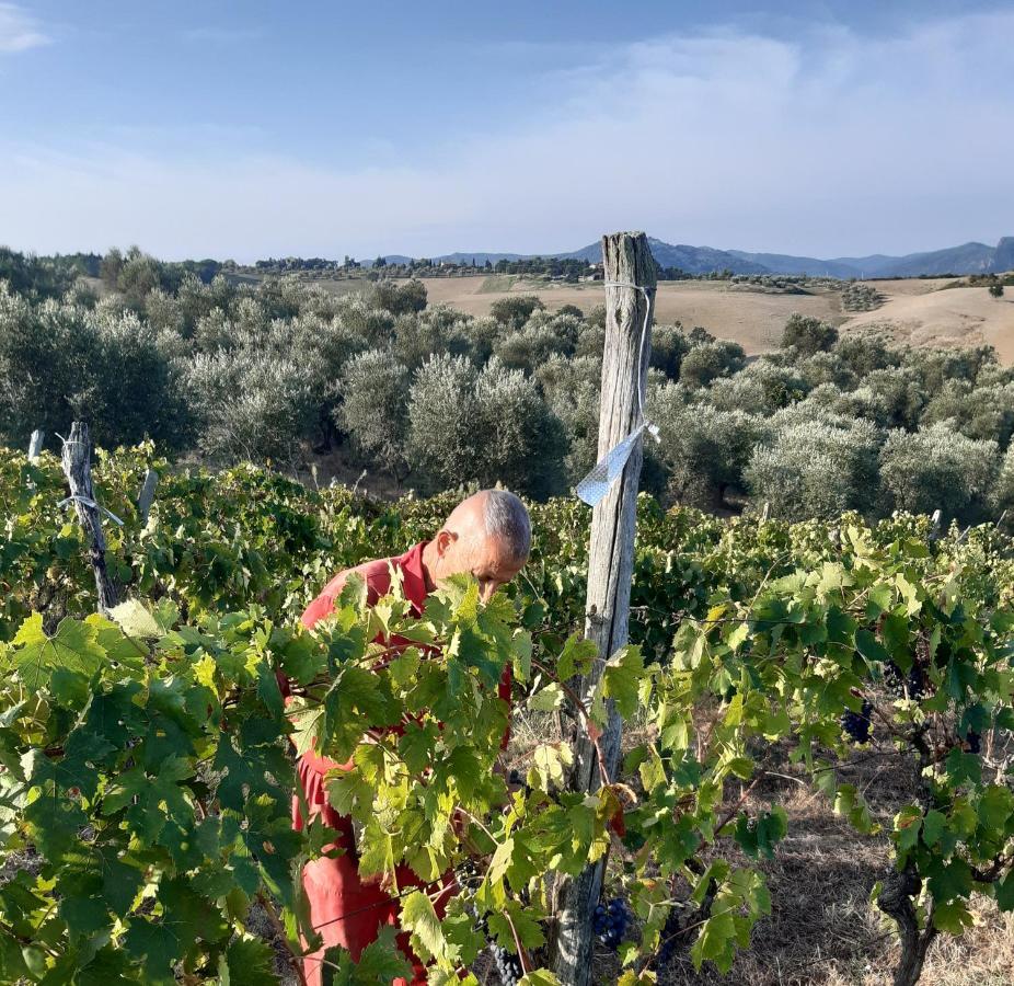 Agriturismo Santa Chiara Помаранче Екстериор снимка