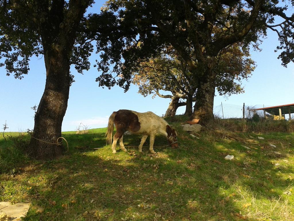 Agriturismo Santa Chiara Помаранче Екстериор снимка