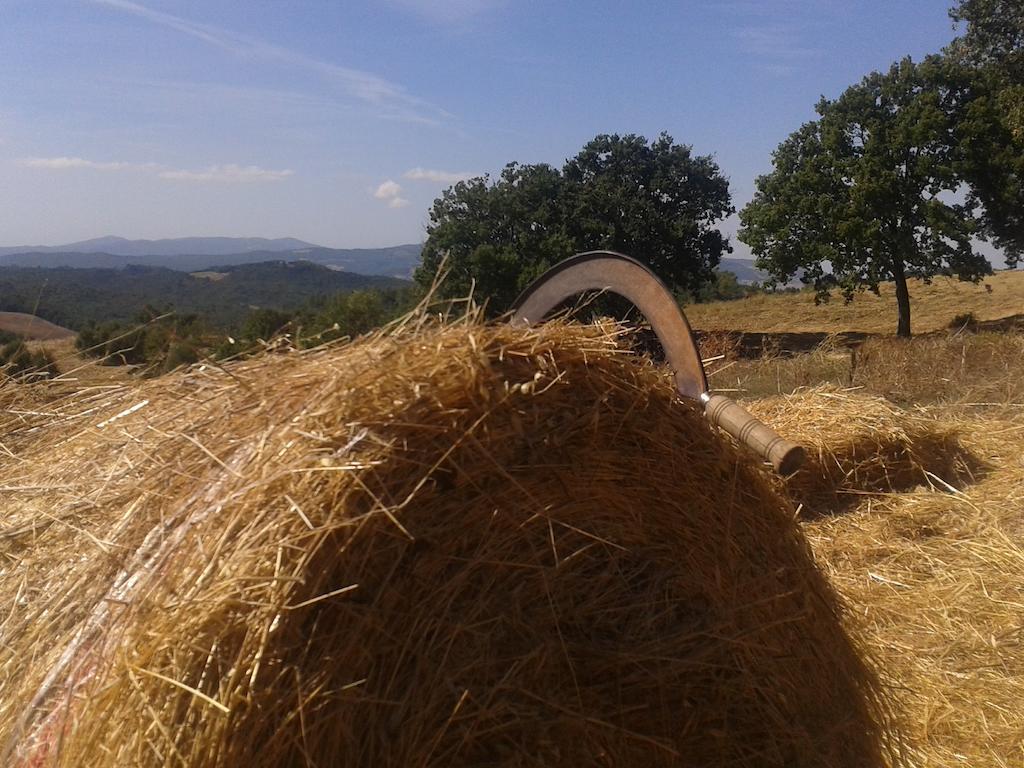Agriturismo Santa Chiara Помаранче Екстериор снимка